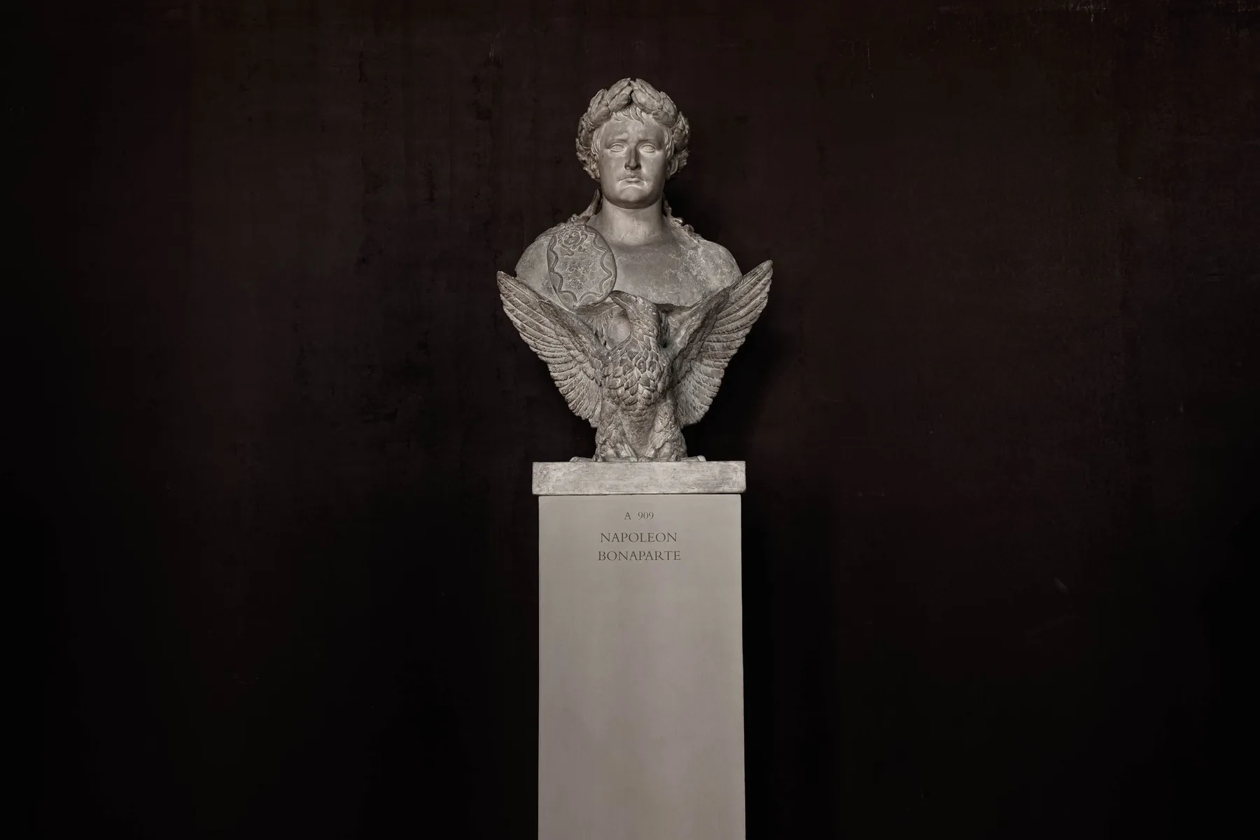 Napoleon, photographed by Odin Oddekalv