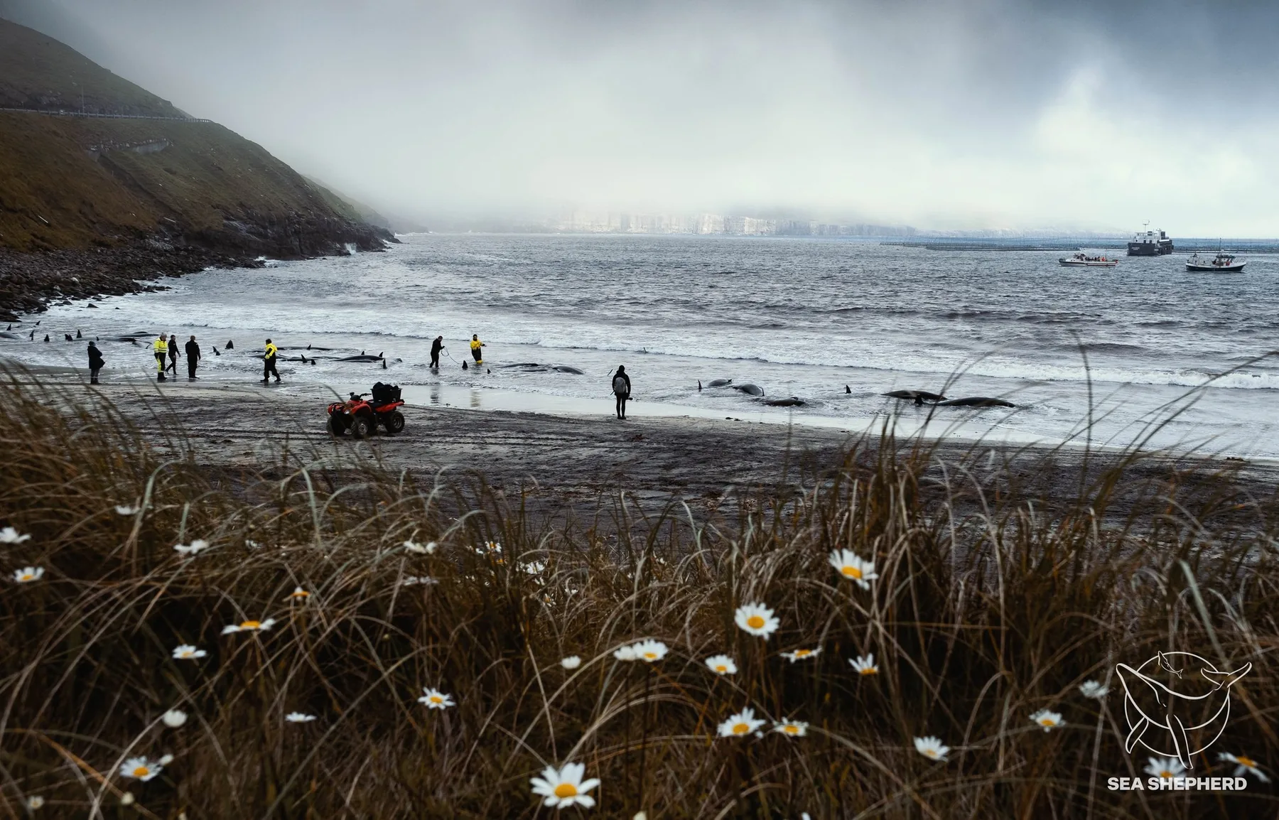 Tears and Flowers for the Whales, photographed by Odin Oddekalv